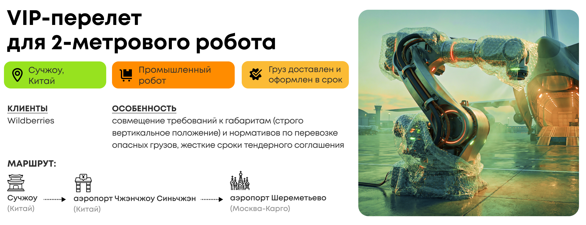 VIP-перелет для 2-метрового робота 