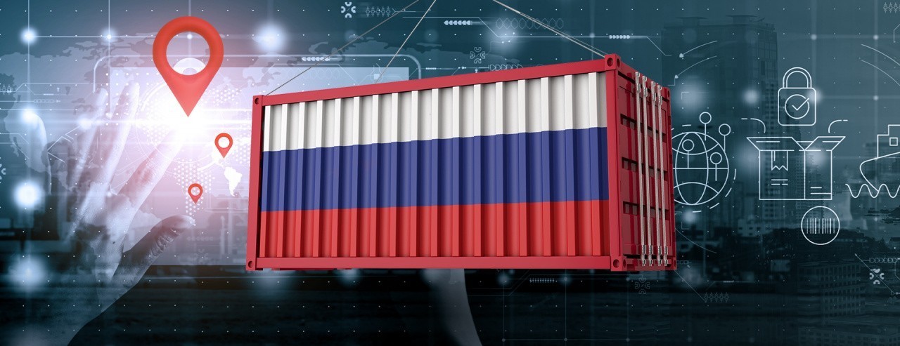 5 лет для восстановления объема импорта в Россию