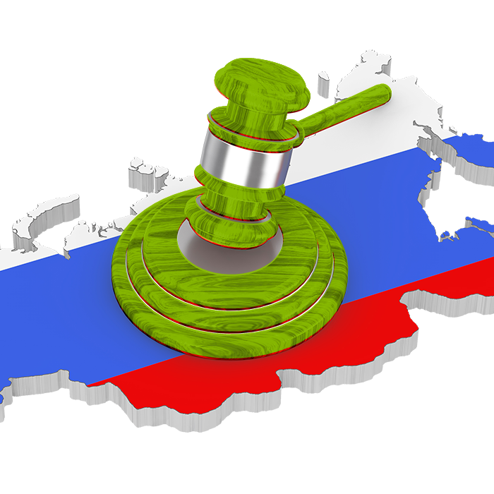 Представление интересов Клиентов в госорганах